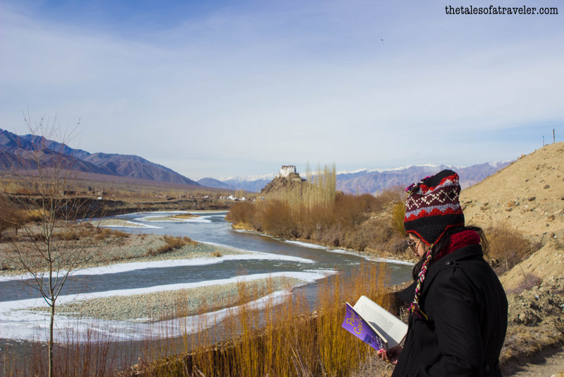hotel-grand-dragon-ladakh-review-1-15