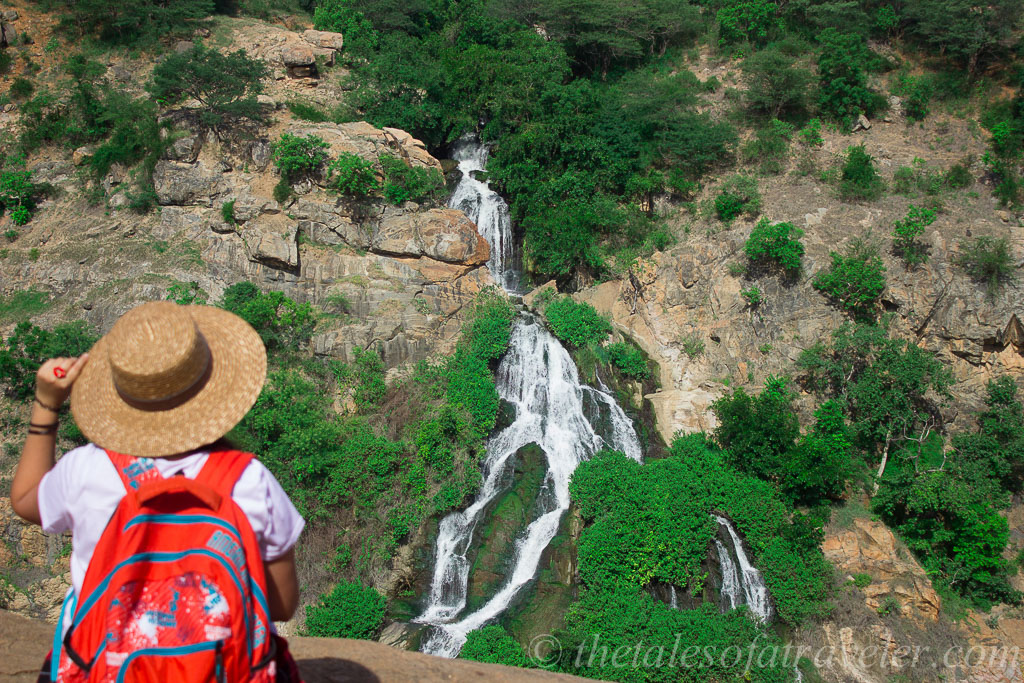 Day Trip From Bangalore To Chunchi Falls