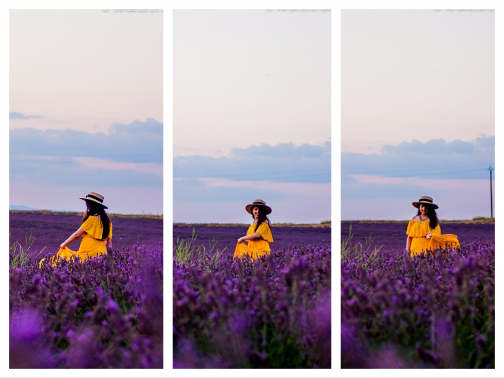 France-Itinerary-Lavender-Fields-Valensole